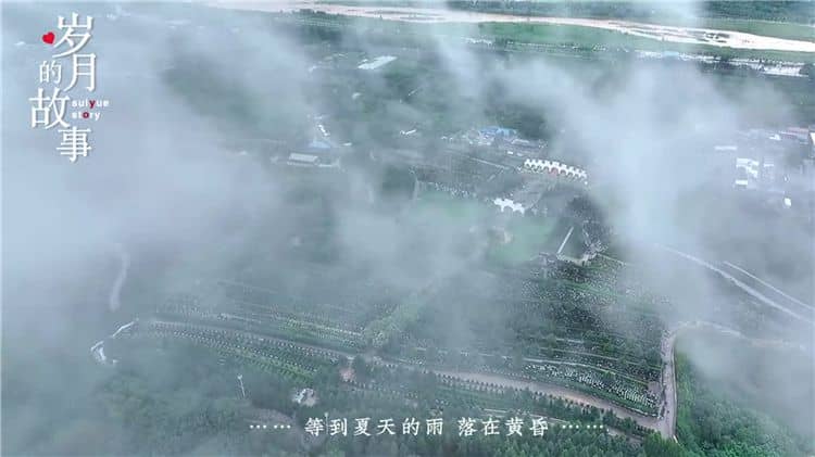 西安霸陵陵园新区的立碑葬式有哪些特点？