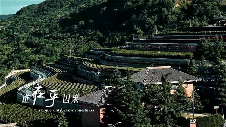 西安的霸陵陵园的树葬服务价格是多少