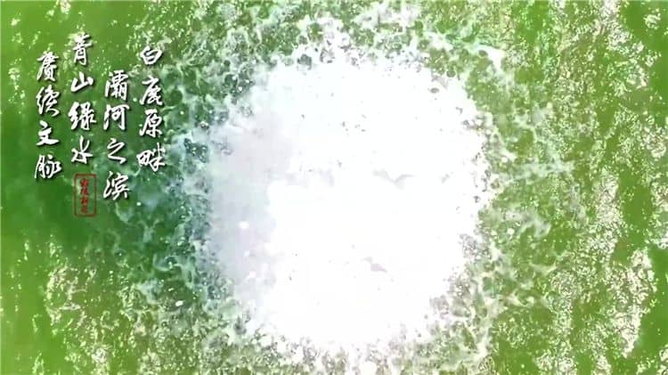 西安霸陵墓园新区墓地免费接送-专车接送-优惠力度大