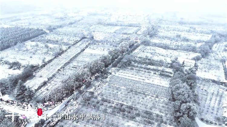西安霸陵墓园新区环境与服务全面解析