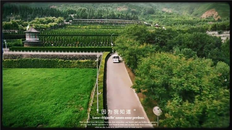 西安东郊霸陵新区墓园排名-西安霸陵墓园草坪墓碑图