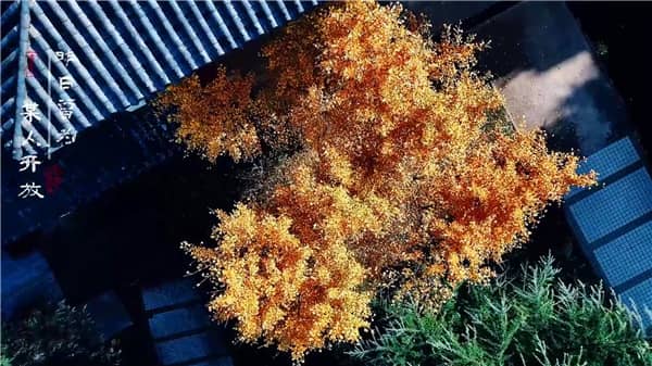 西安霸陵墓园怎么走，让亡者有个温馨的家