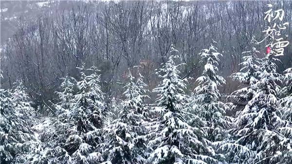 西安霸陵汉陵墓园报价电话，永久之地