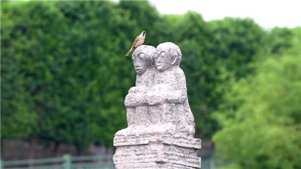 到西安霸陵墓园怎样坐车