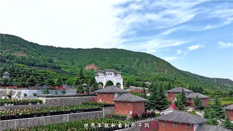 西安霸陵墓园新区在环境、设施和服务方面有哪些特点?