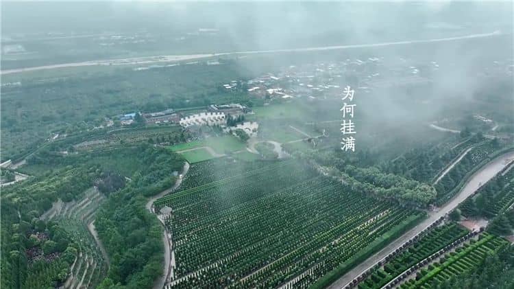 西安霸陵墓园新区,你不能错过的新资讯!