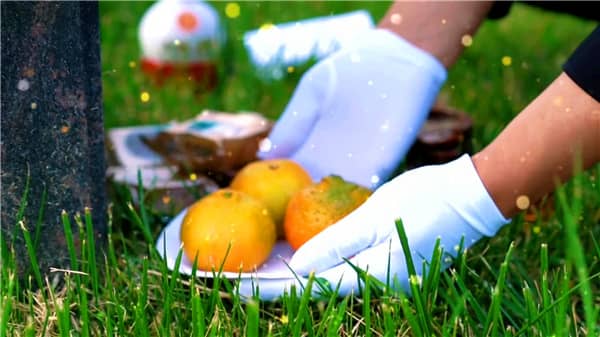 西安东郊霸陵新区墓园在西安市的墓园排名中占据一定的地位