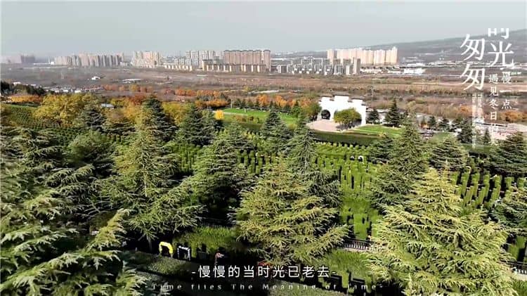 西安霸陵墓园树葬,悼念逝去的亲人