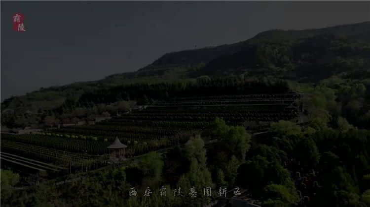西安霸陵墓园不仅具有深厚的历史背景和文化底蕴，还提供多种优质的服务项目和环保举措