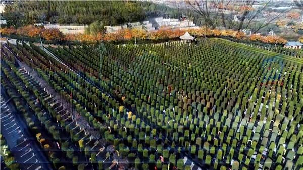 西安霸陵墓园新区清明祭扫公告