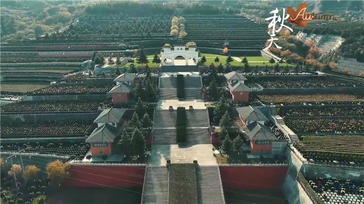霸陵墓园都提供哪些生态葬方式?