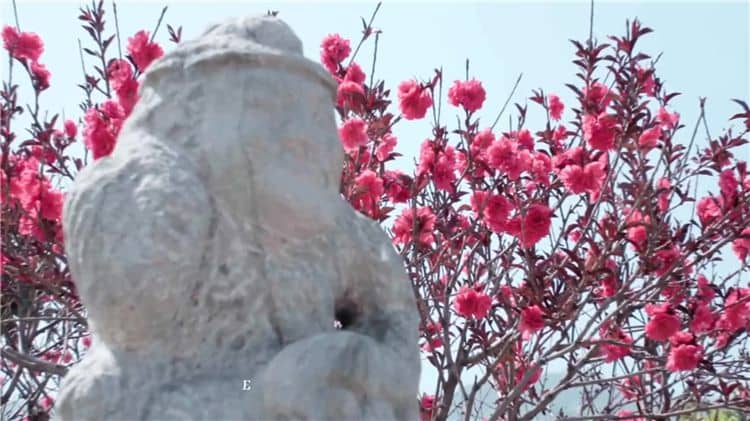 西安霸陵墓园实时路况查询-祭扫高峰期避堵指南