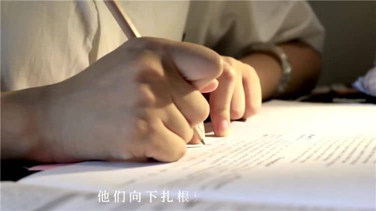 西安霸陵墓园新区的具体地址在哪里,其风水特点有哪些?