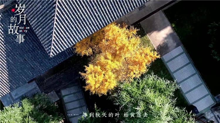 西安霸陵墓园的环境与服务?