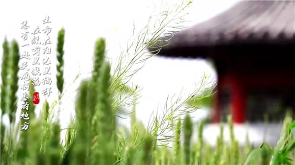 西安霸陵墓园新区地址-怎么坐车可以直达墓园