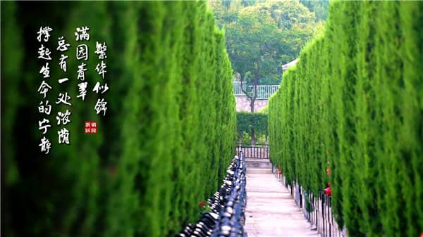 西安霸陵墓园新区（礼厅追思）营造温馨的氛围，让思念绵延不断