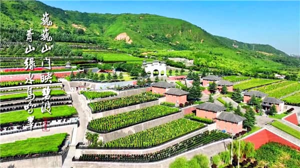 西安霸陵墓园新区树葬草坪
