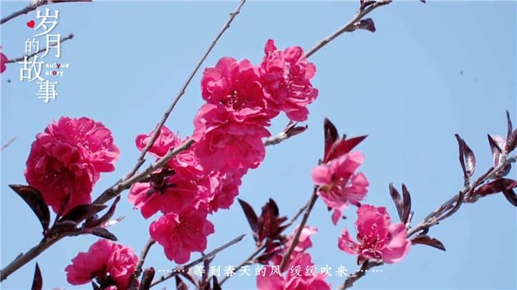如何获取西安霸陵墓园办公室电话?多种途径供您选择