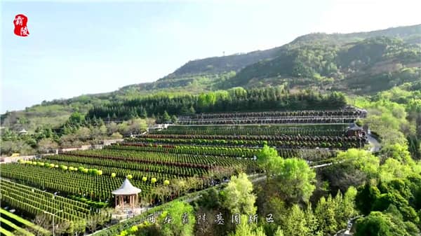 西安军魂园是西安霸陵墓园中的一个主题园区