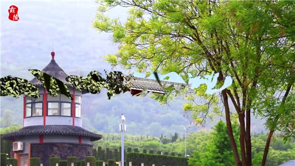 西安霸陵墓园新区报价因墓地类型、位置、面积