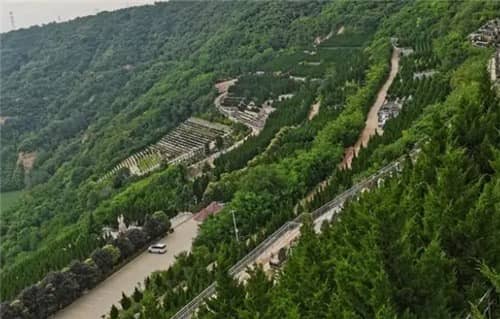 无家坟的具体位置与文化背景
