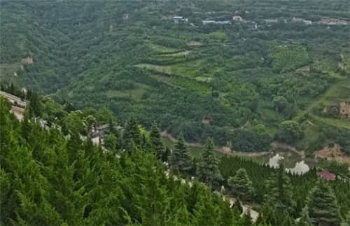 西安高桥墓园的单人墓位价格大约是多少？