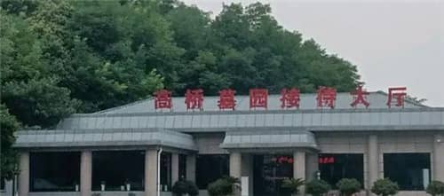 和朋友一起去扫墓是否合适的礼仪解析