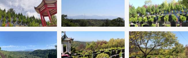 西安白鹿原公墓园区内严禁烧纸