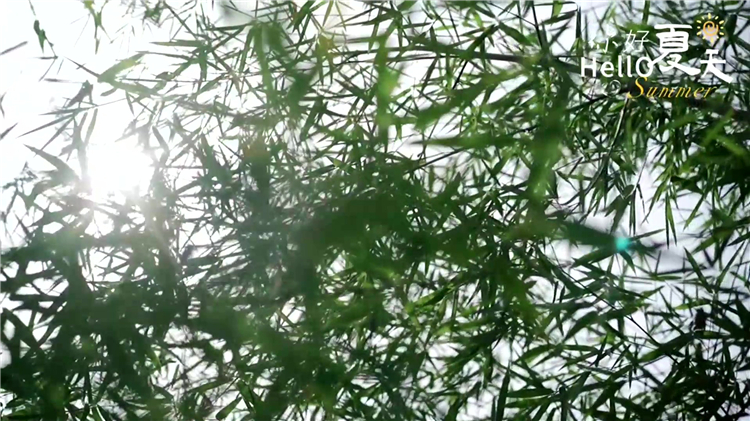 西安汉陵墓园全面介绍 | 国有合法墓园的五大核心优势解析