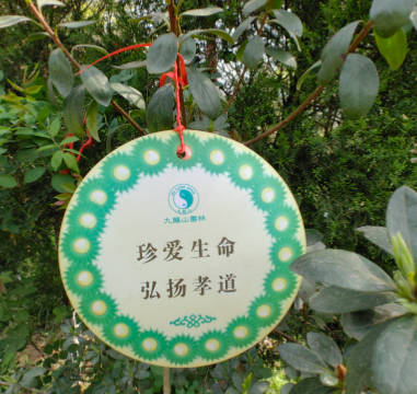 西安临潼殡仪馆骨灰纪念园价格全解析2025|西安临潼墓地最新价格情况