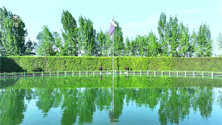 清明节免费祭扫专线车的发车时间是多少