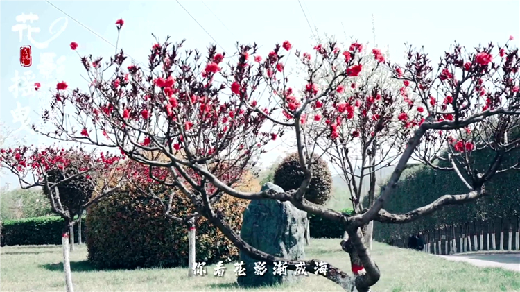 已故老人周年祭奠可以提前吗?时间安排与注意事项详解