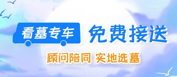 西安市民在购买墓地时,为何倾向于通过网络平台对比价格?